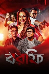  Borfi Poster