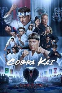 Cobra Kai Poster