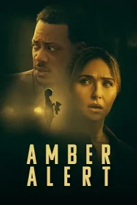  Amber Alert Poster