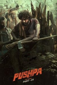 Pushpa: The Rise – Part 1 Poster