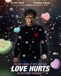 Ā Love Hurts Poster
