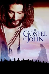 Ā The Gospel Of John Poster