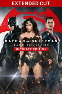  Batman v Superman: Dawn of Justice Poster