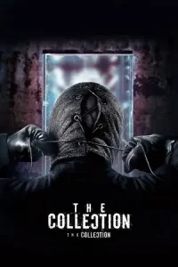  The Collection Poster