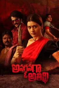 Anaganaga O Athidhi Poster