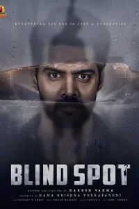 Blind Spot Poster