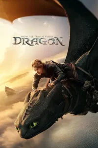  How to Train Your Dragon Poster