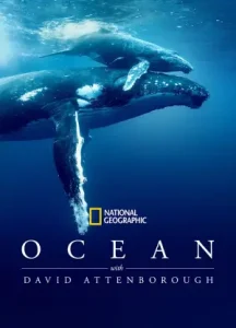 Ocean with David Attenborough Poster