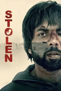  Stolen Poster