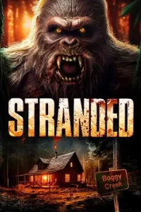 Ā Stranded Poster