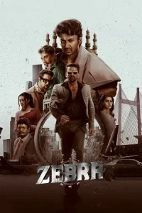 Zebra Poster