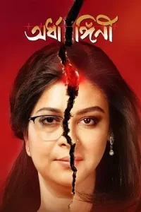  Ardhangini Poster