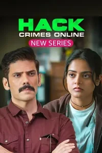 Hack Crimes Online Poster