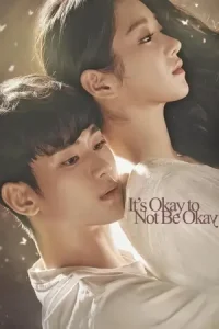 It’s Okay to Not Be Okay Poster