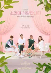 The Secret Life of My Secretary (Chomyeone Saranghamnida) Poster
