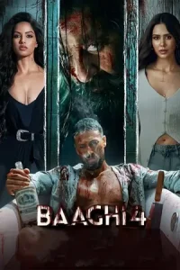 Baaghi 4 Poster