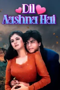 Dil Aashna Hai Poster
