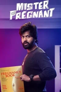 Mr. Pregnant Poster