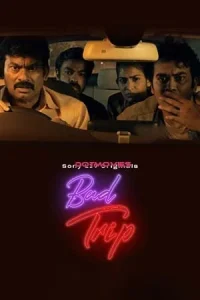  Bad Trip Poster