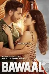 Bawaal Poster
