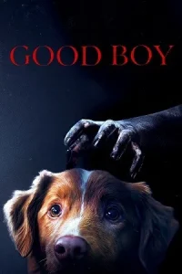 Good Boy Poster