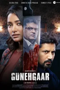  Gunehgaar Poster
