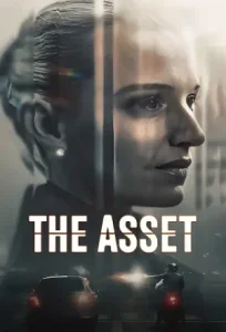 The Asset Poster