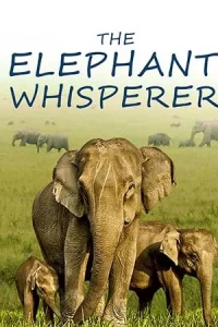 The Elephant Whisperers Poster