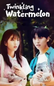 Twinkling Watermelon Poster
