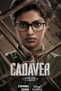 Cadaver Poster