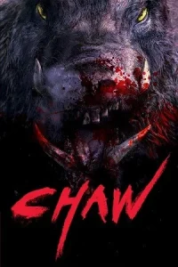 Chawz Poster