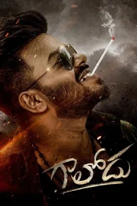 Gaalodu Poster