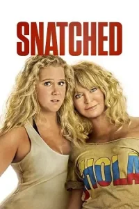  Snatched Poster