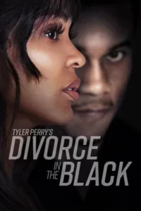 Tyler Perry’s Divorce in the Black Poster