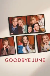 Â Goodbye June Poster