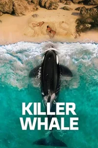 Ā Killer Whale Poster
