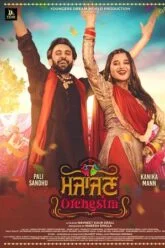 Majajan Orchestra Poster