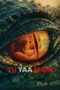 Tu Yaa Main Poster