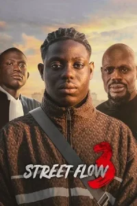 Ā Street Flow 3 Poster