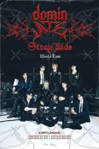 Â Stray Kids: The dominATE Experience Poster