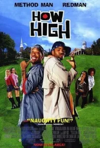 How High Poster