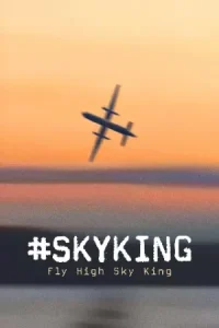 #SKYKING Poster