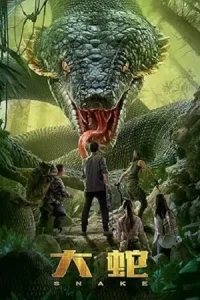 The Python Poster