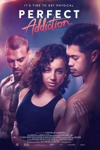 Â Perfect Addiction Poster