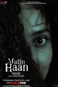 Maiin Haan Poster