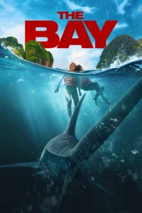  The Bay Poster