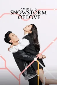 Amidst a Snowstorm of Love Poster