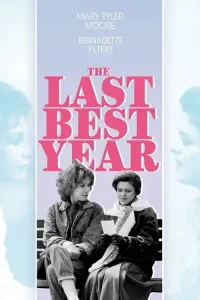 Ā The Last Best Year Poster