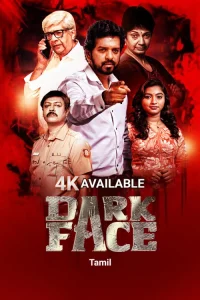 DarkFace (2026) Poster