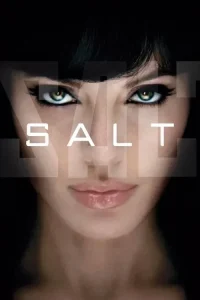 Salt Poster